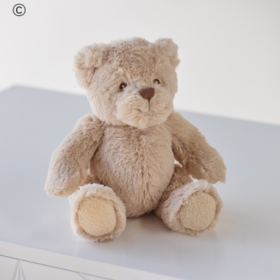Recycled Rosie Teddy