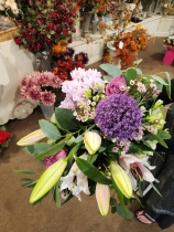 Allium Blue